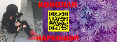 прущие грибы Краснодар