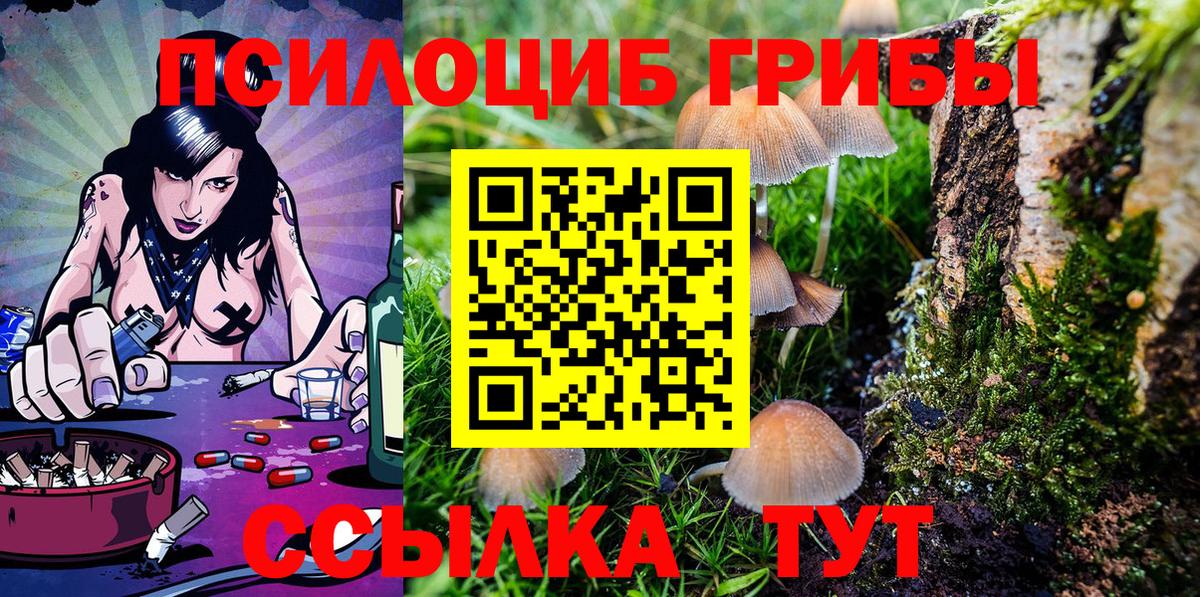 Псилоцибиновые грибы прущие грибы Киров