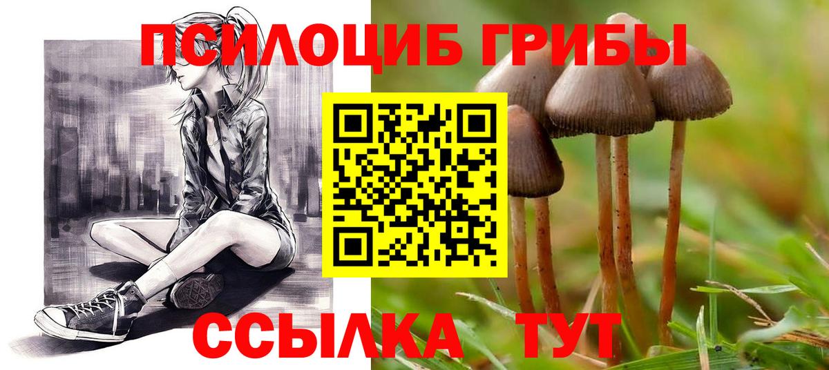 Псилоцибиновые грибы прущие грибы  Вход с VPN  Киров 